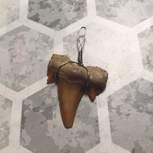 shark tooth necklace charm